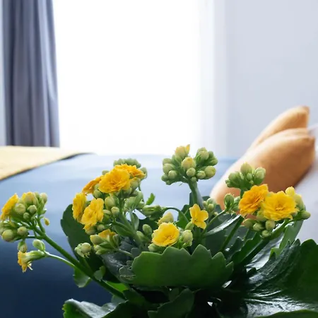 게스트하우스 Oltre 4*